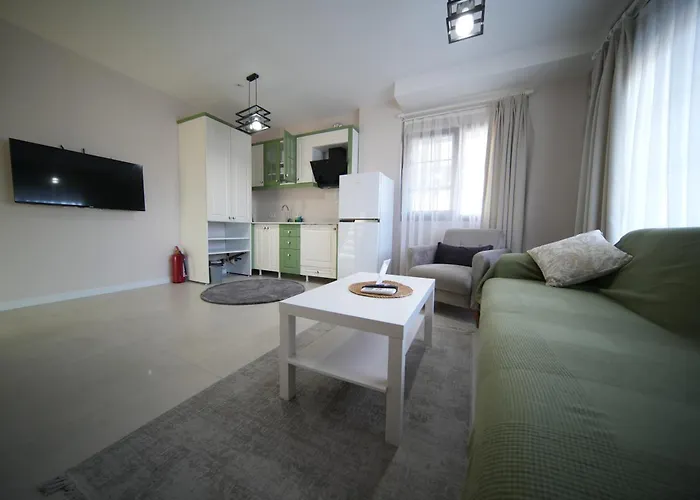 Olea Alacati Daire *